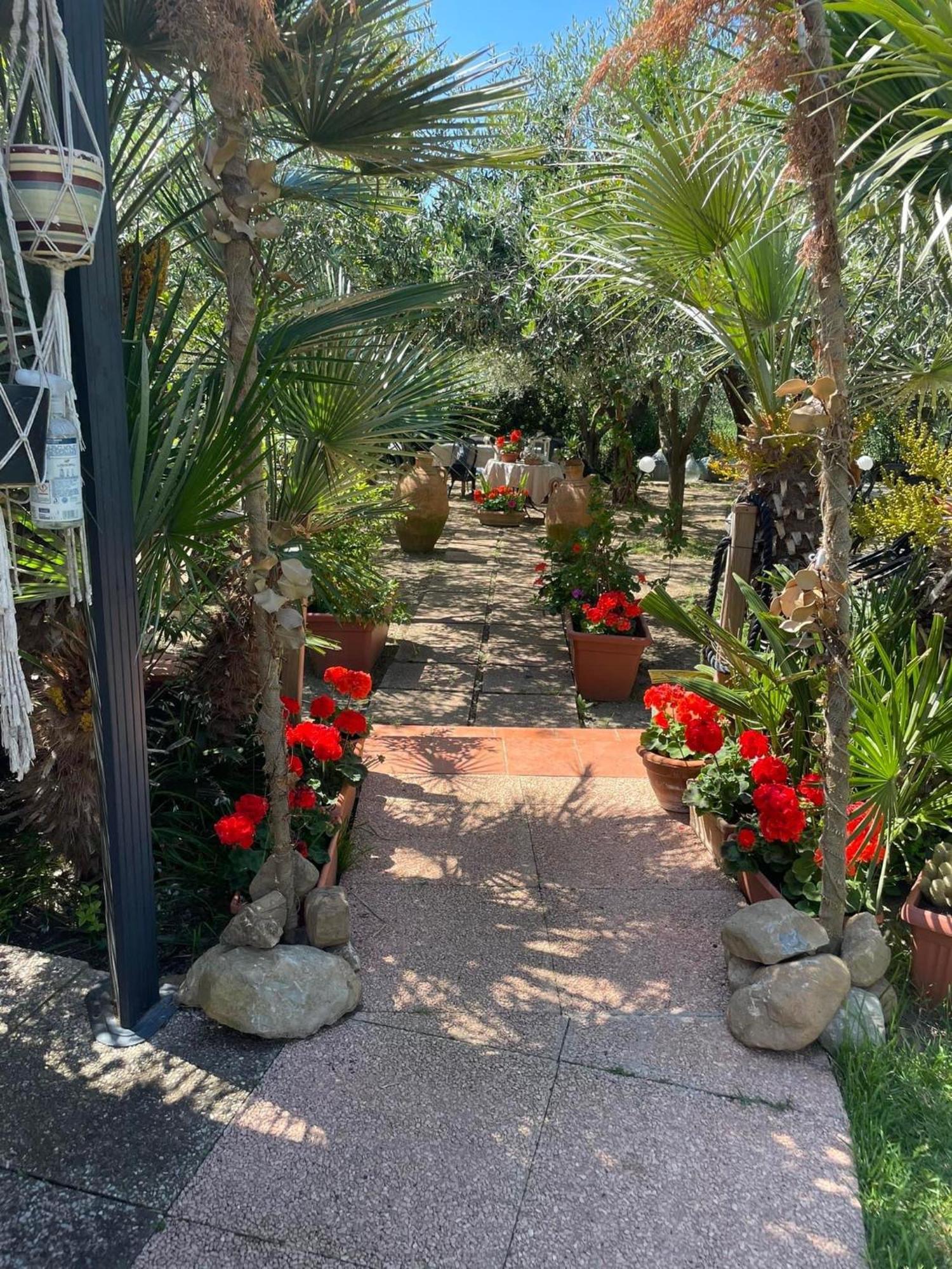 Vila La Casina Di Simo Montenero  Exteriér fotografie